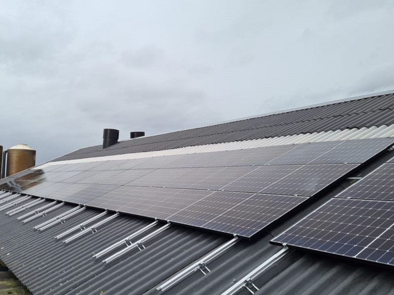 Zonnepanelen golfplatendak Zalk